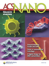 ACSNano2009